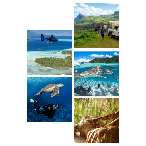 Photos de plusieurs activités pour un séjour parfait en Polynésie